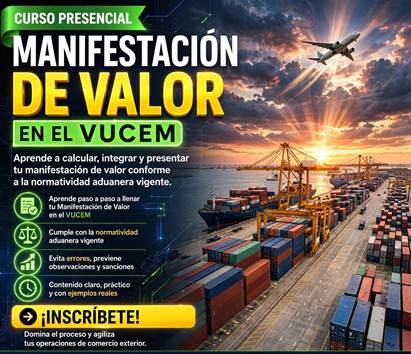 Curso Manifestación de Valor Electrónica